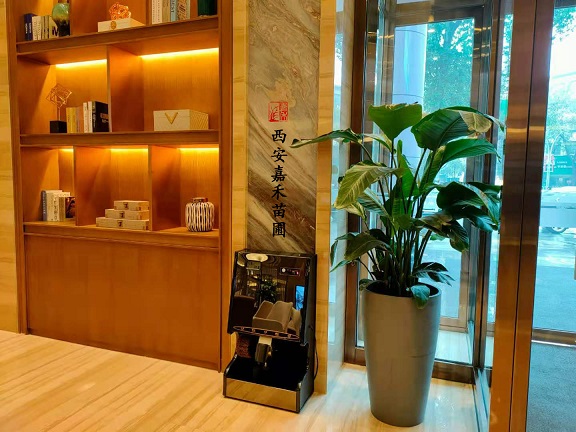 酒店綠植花卉出租|西安嘉禾苗圃 酒店綠植花卉出租|西安嘉禾苗圃